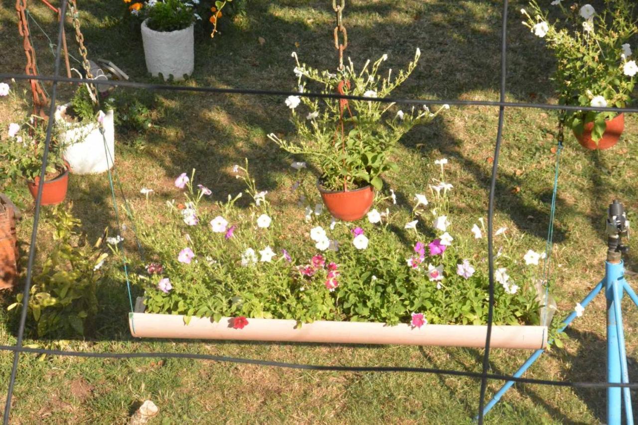 Nikšić Gazdinstvo Tadicゲストハウス エクステリア 写真