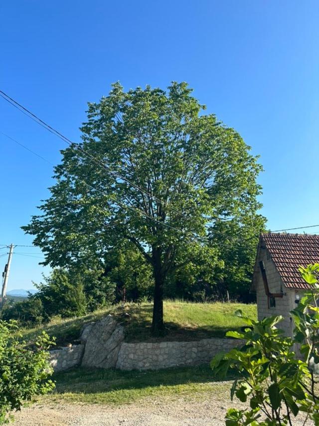 Nikšić Gazdinstvo Tadicゲストハウス エクステリア 写真
